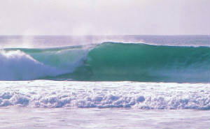 SURF.JPG